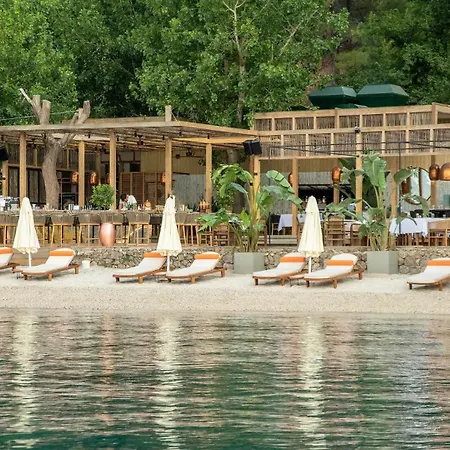 Yazz Collective פאטהיה