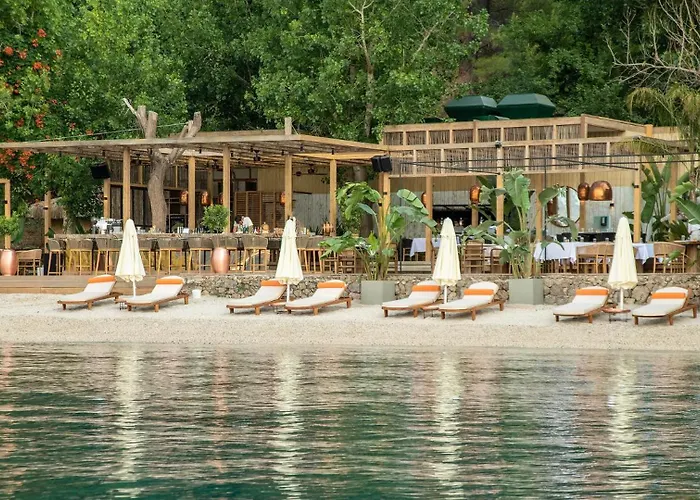 Yazz Collective Fethiye