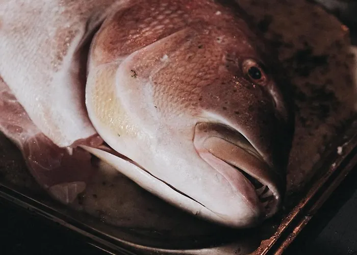 Hotel Yazz Collective *