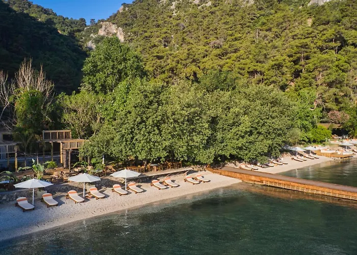 Yazz Collective Fethiye