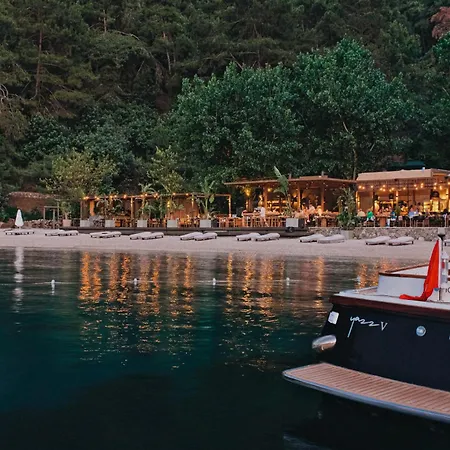 Yazz Collective Hotel