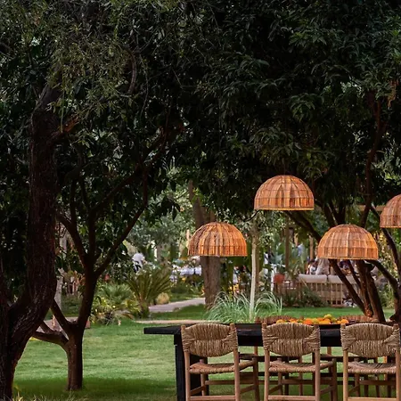 Yazz Collective Hotel