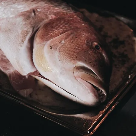 Szálloda Yazz Collective *