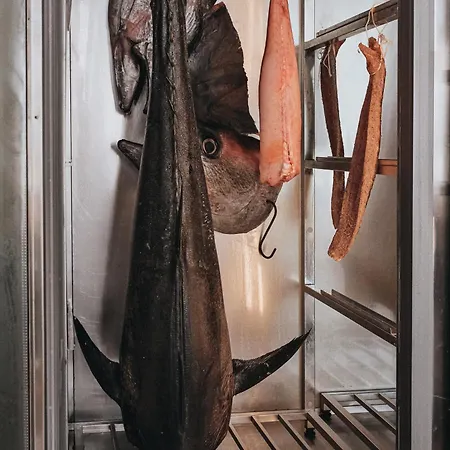 Yazz Collective Szálloda