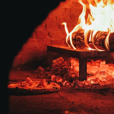 Yazz Collective Otel *