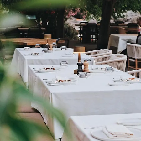 Yazz Collective Hotel *