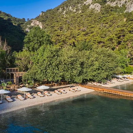 Yazz Collective Fethiye