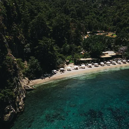 Yazz Collective Hotel *