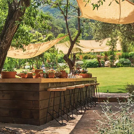 Szálloda Yazz Collective *