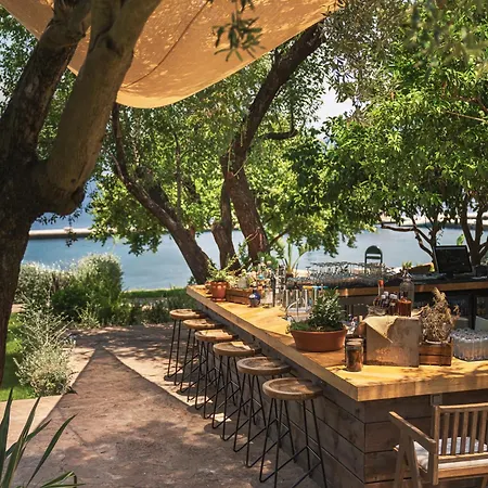 Yazz Collective Fethiye