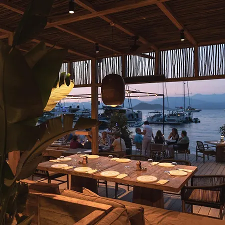 Yazz Collective Hotel