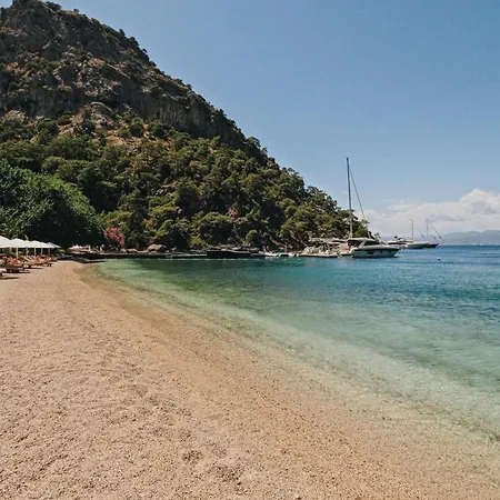 Otel Yazz Collective