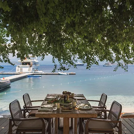 Yazz Collective Szálloda *