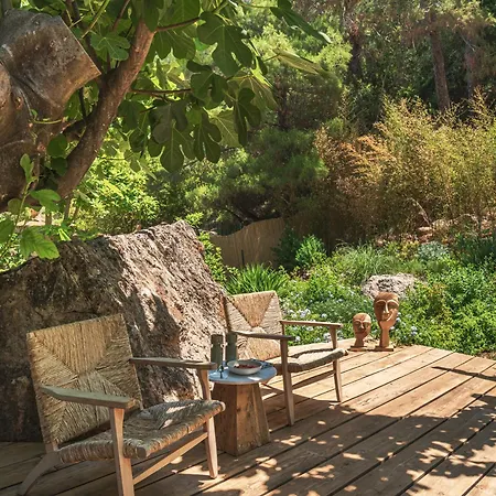 Otel Yazz Collective