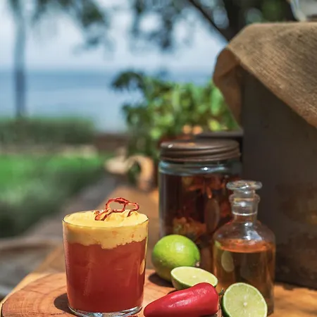 Yazz Collective Fethiye