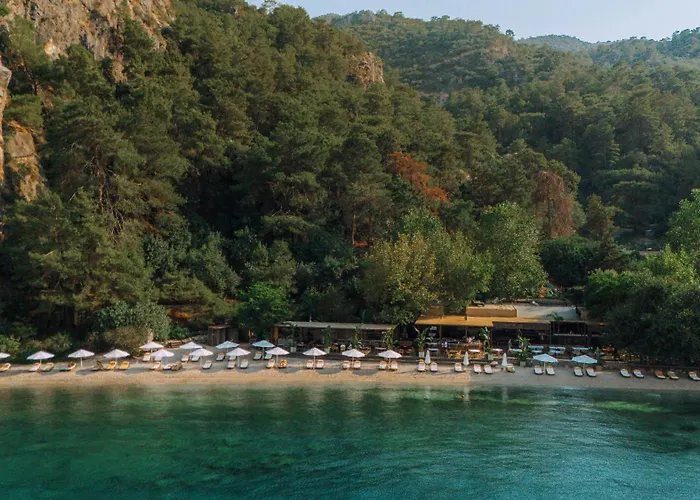 Yazz Collective Ξενοδοχείο