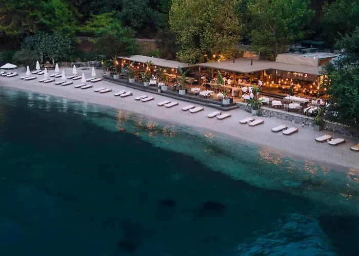 Ξενοδοχείο Yazz Collective *