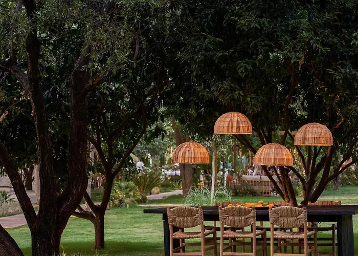 Yazz Collective Hotel