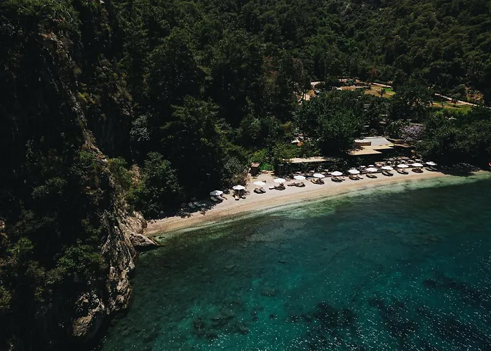 Yazz Collective Hotel *