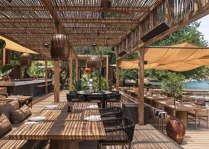 Yazz Collective * Fethiye