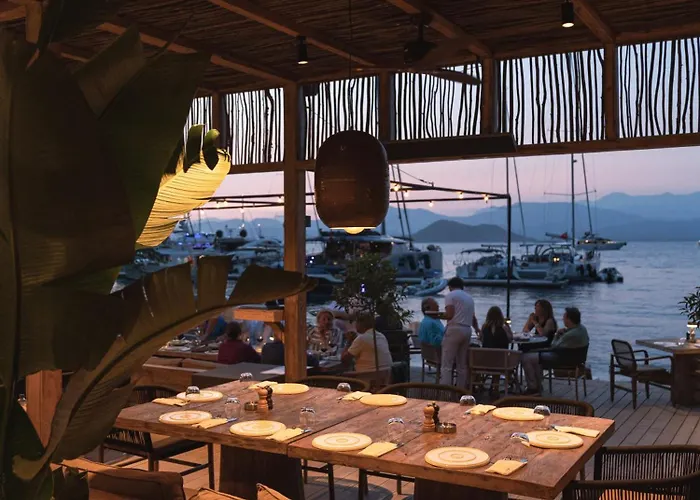 Yazz Collective Hotel