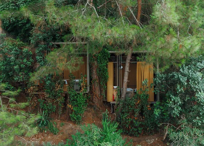 Yazz Collective Hotel Fethiye