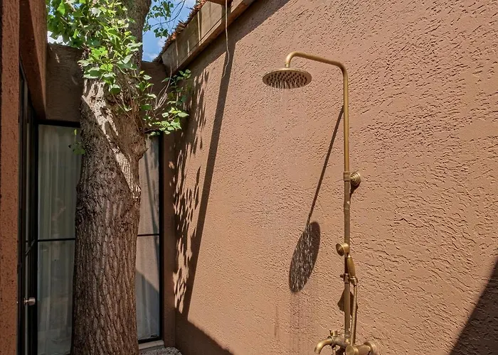 Yazz Collective * Φετιγιέ