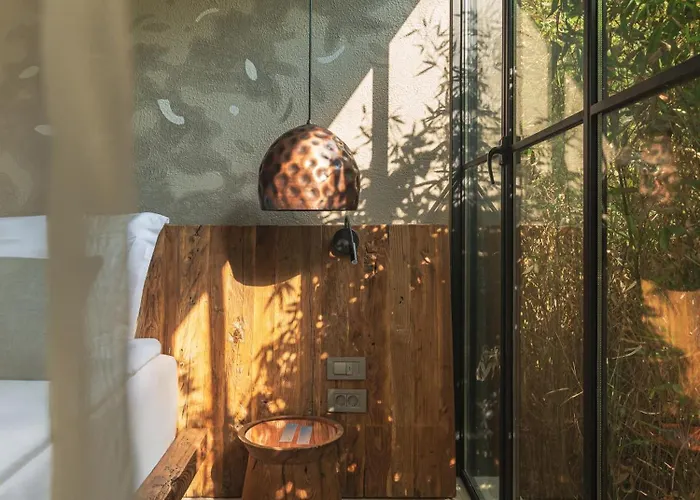 Yazz Collective * Φετιγιέ