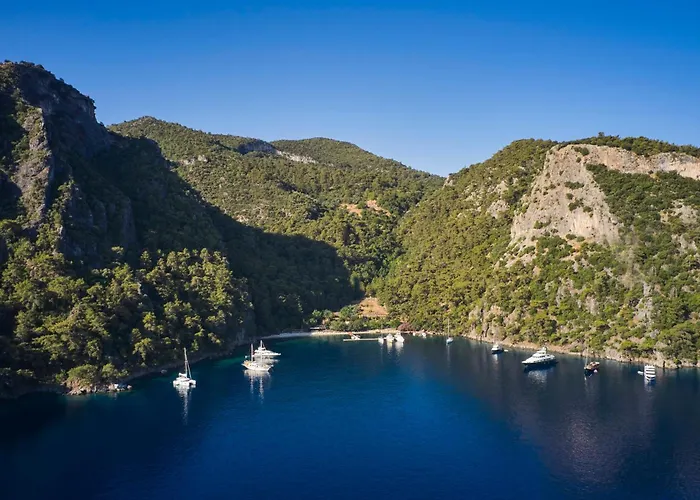 Hotel Yazz Collective *