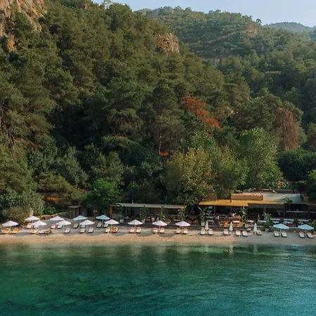 Yazz Collective Hotel