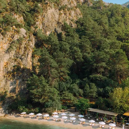 Yazz Collective Hotel