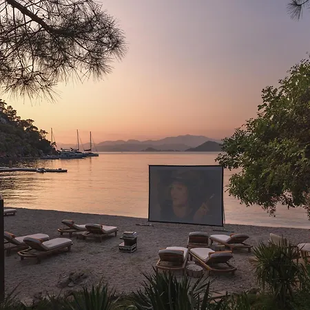 Yazz Collective Hotel