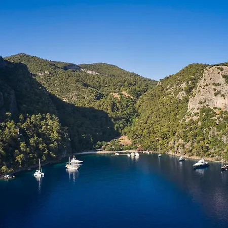 Hotel Yazz Collective *